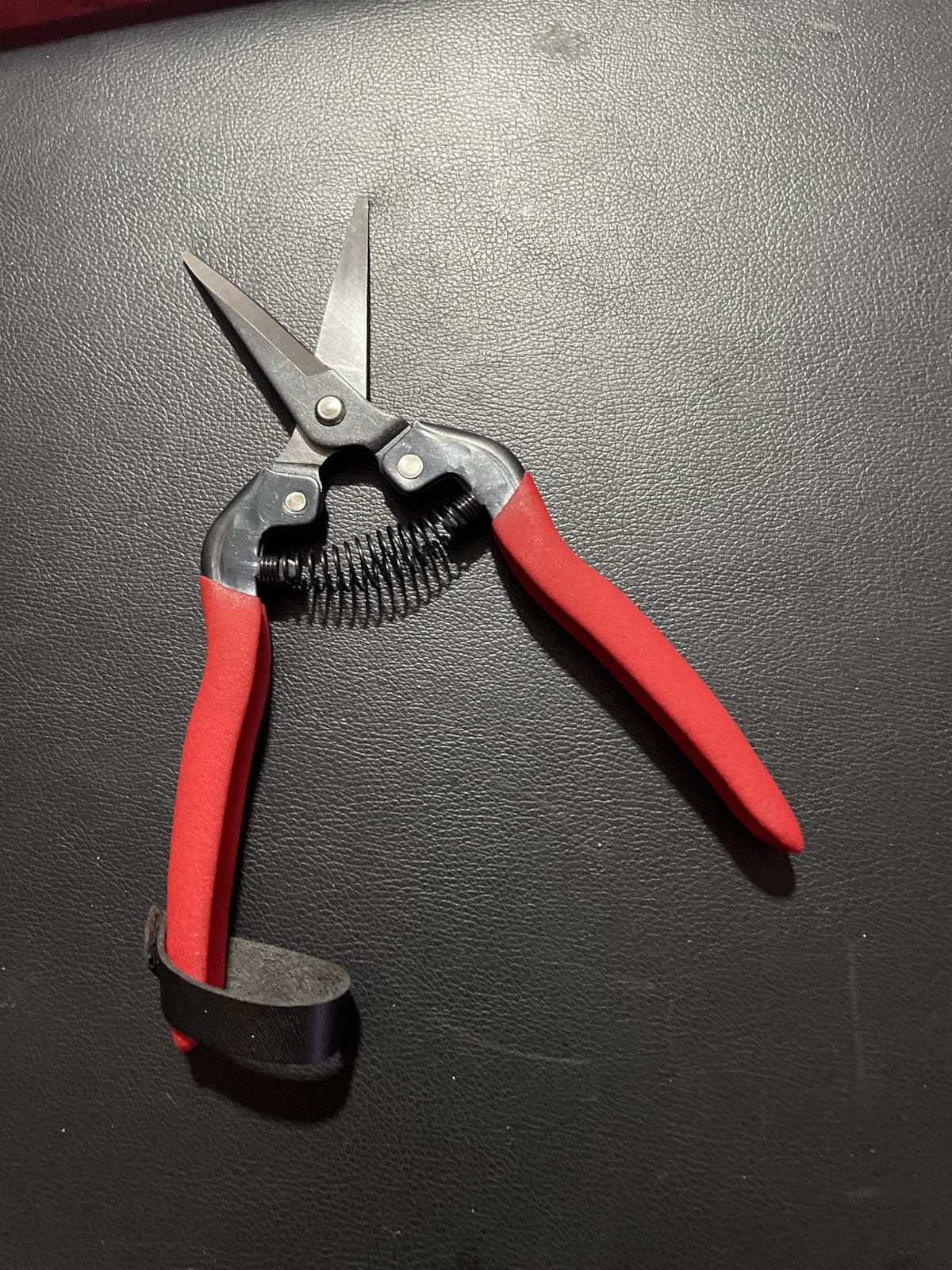 Corona Tools Long Curved Snips – 1.75″ Tempered Steel Precision Garden Shears for Fruit, Herbs, Flowers & Vineyard Use customer photo 1