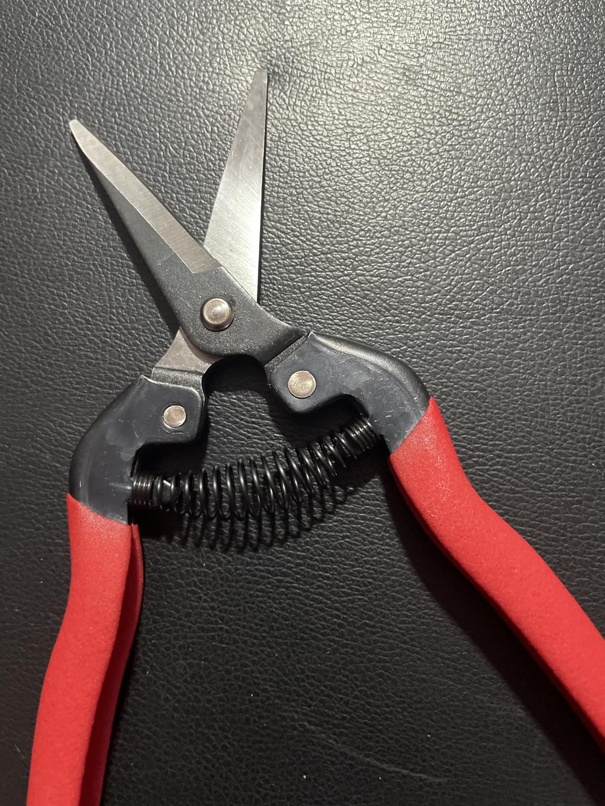 Corona Tools Long Curved Snips – 1.75″ Tempered Steel Precision Garden Shears for Fruit, Herbs, Flowers & Vineyard Use customer photo 2