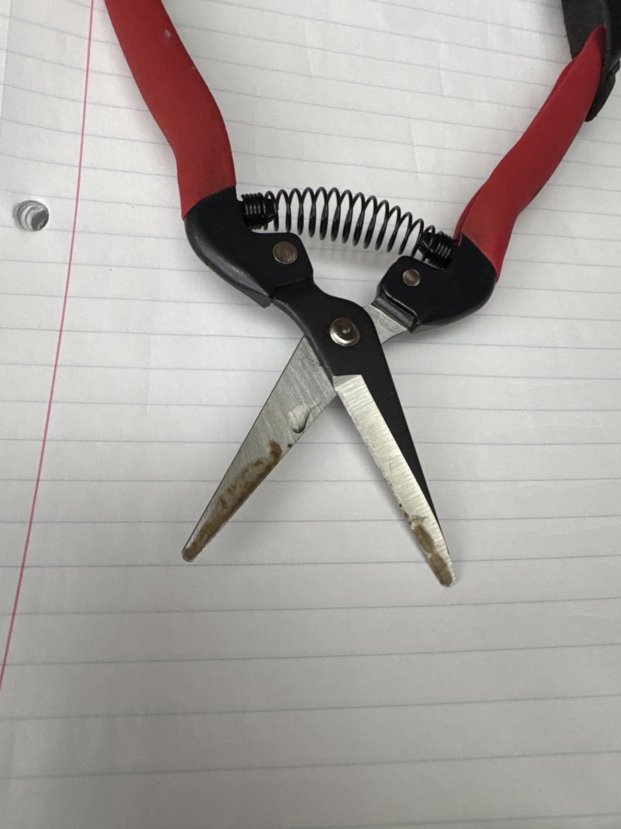 Corona Long Straight Snip customer photo 2