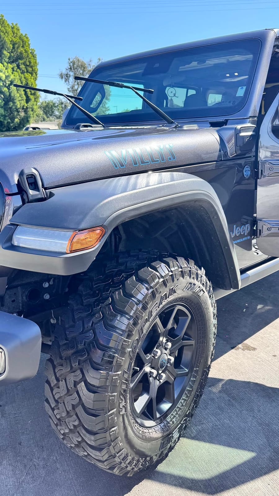 Griot's Garage Black Shine Tire and Trim Coating, Water-Resistant Dressing, Provides a High-Gloss Finish, Rain, and UV Protection, 10938, 15oz customer photo 1