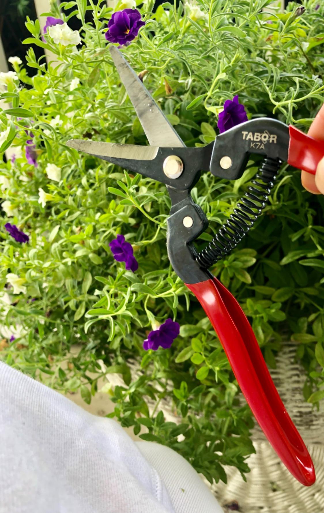 TABOR TOOLS K7A Pruning Snips – 7,5