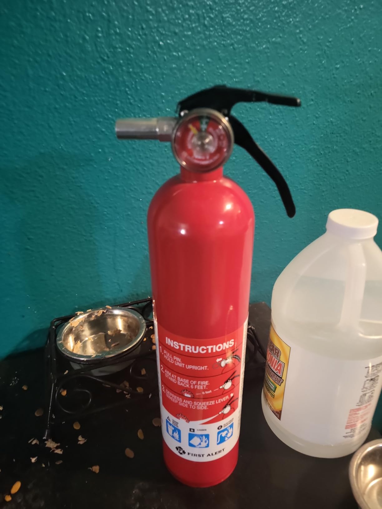 First Alert Fire Extinguisher, Standard Home Use customer photo 1