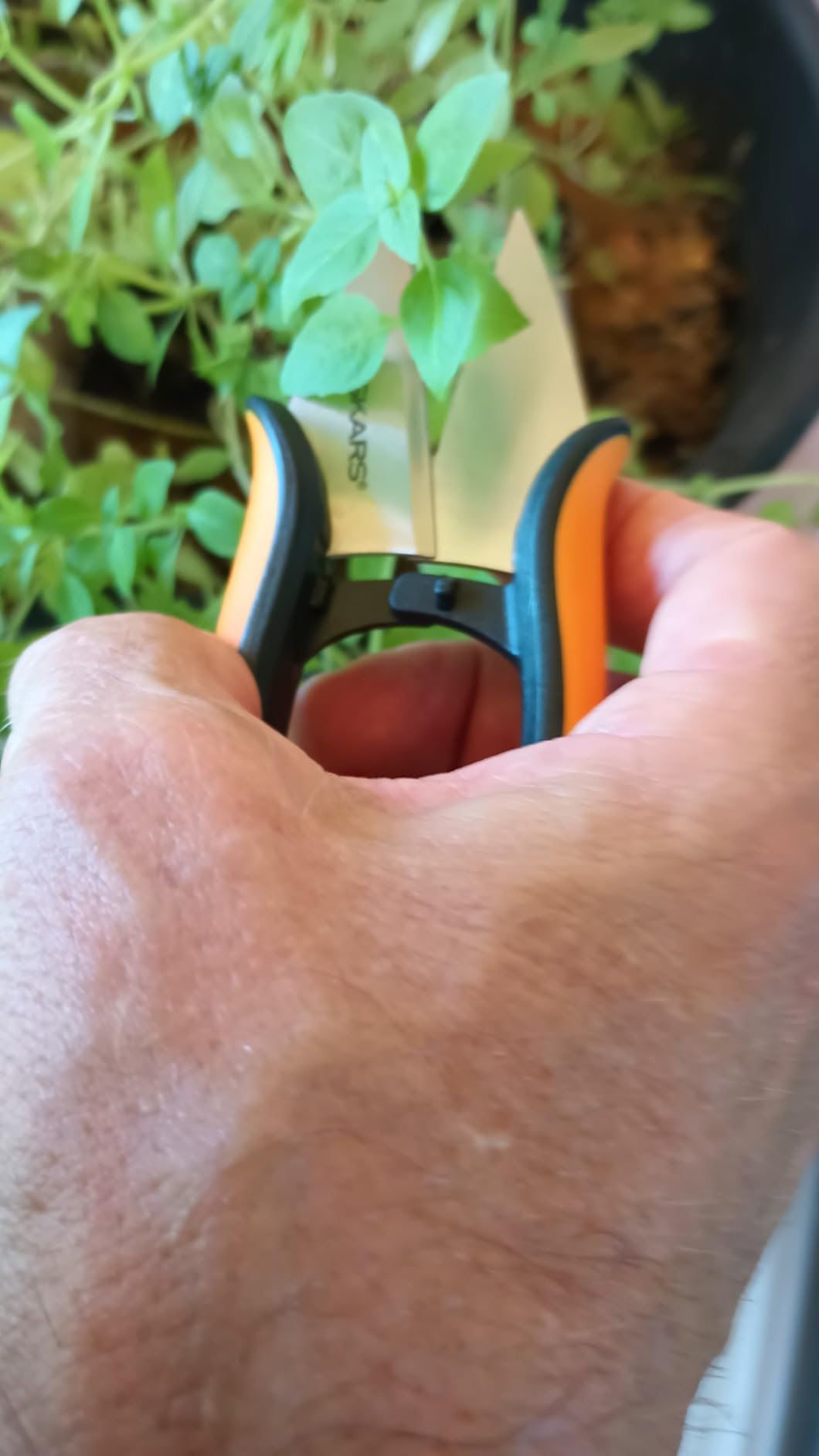 Fiskars 5
