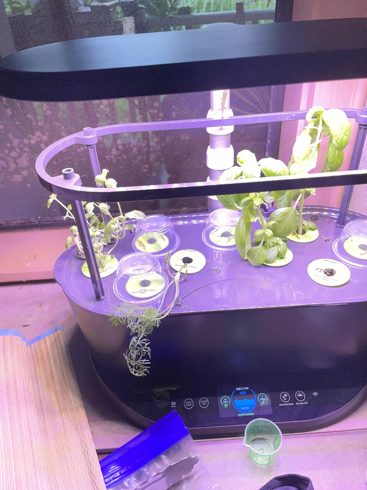 AeroGarden Bounty, White customer photo 1