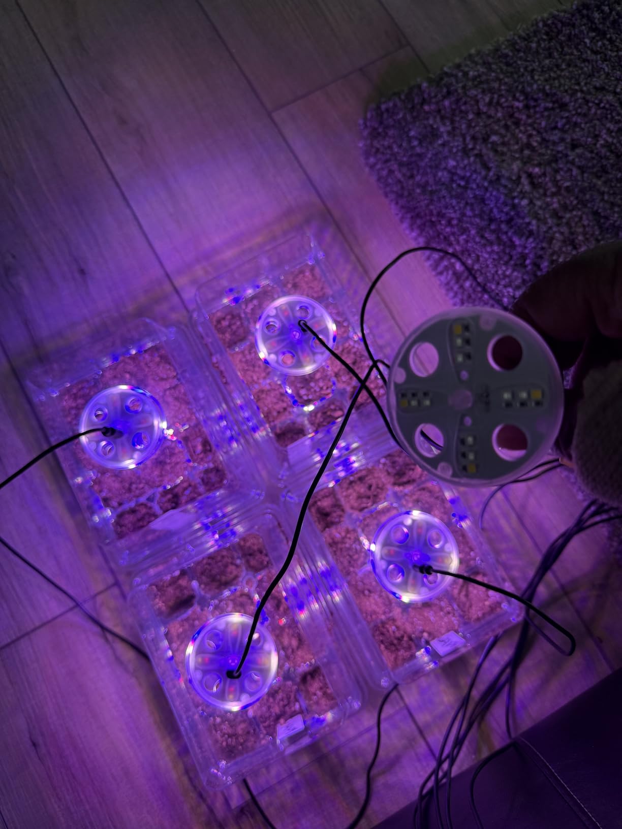Bonviee Seed Starter Trays with 12-LED Grow Lights, Green, 5 Pack customer photo 2