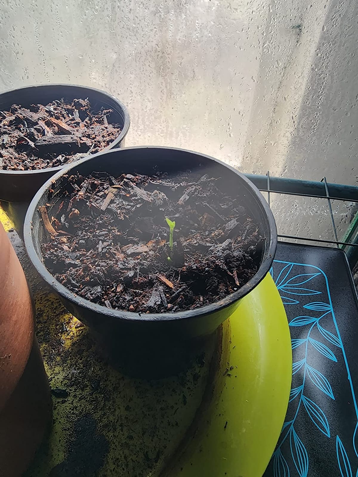 AC Infinity SUNCORE A3X2, Seedling Mat 10