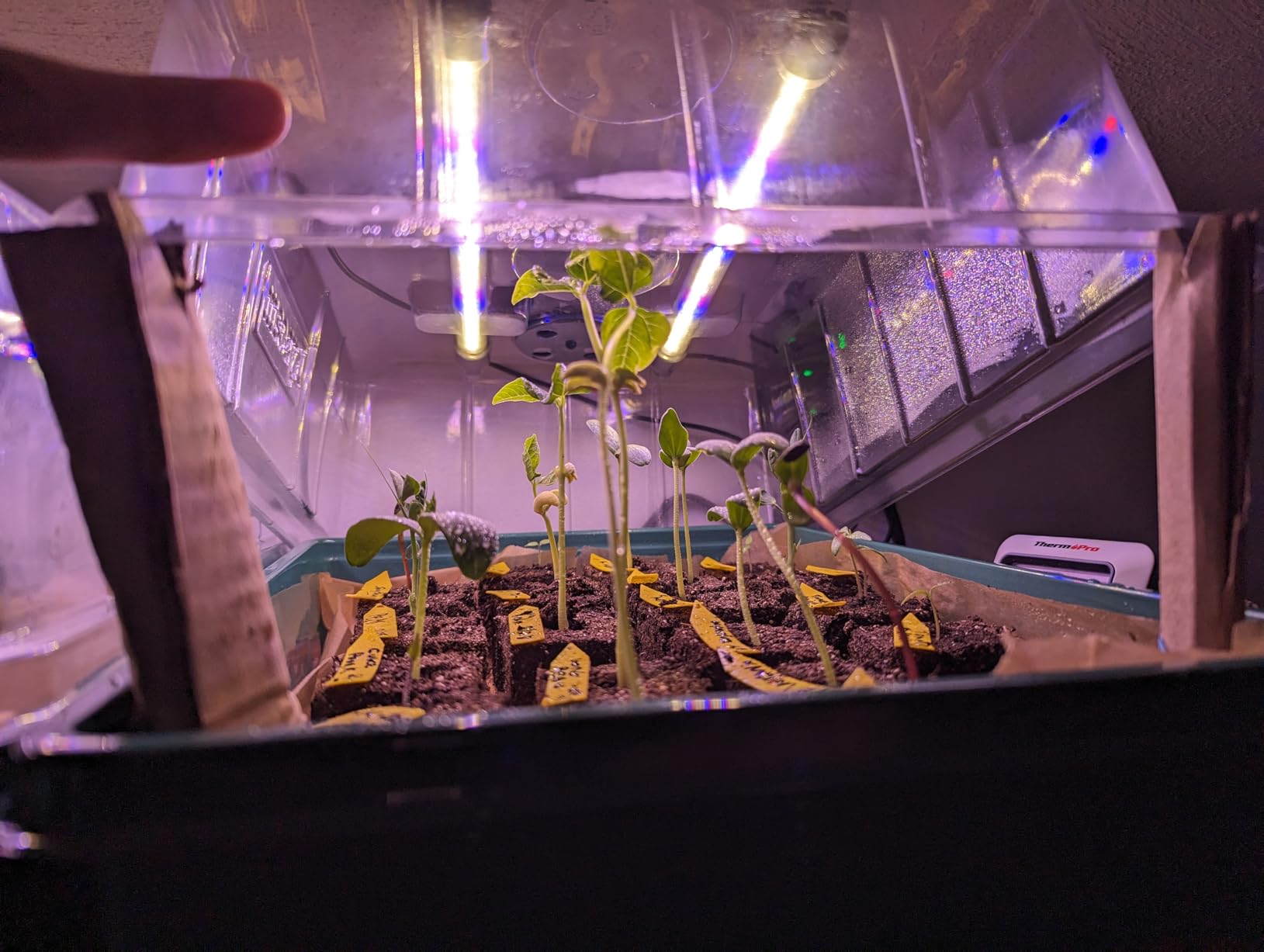 Seed Starter Tray with Grow Light, 96-Cell Seed Starter Kit, Seedling Starter Trays with Humidity Domes, Automatic Timer, Adjustable Light Indoor Gardening Plant Germination Trays customer photo 1