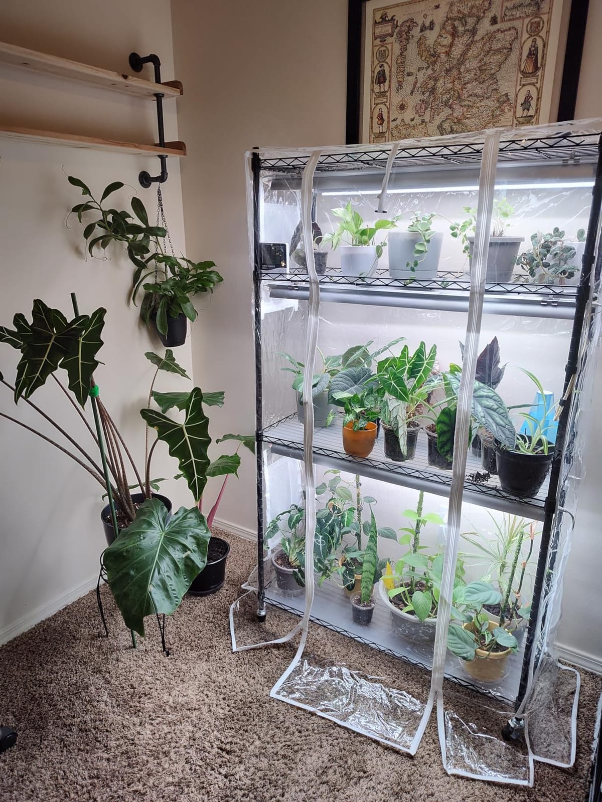Barrina CX5Z Indoor Greenhouse with Grow Light, 180W, 4-Tier 35.4x13.8x59IN customer photo 1