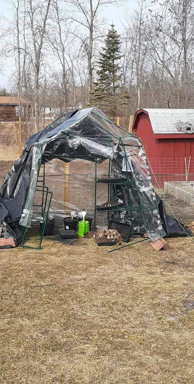 VIVOSUN Mini 4-Tier Greenhouse with Wheels, 27 x 19 x 63-Inch Reusable Portable Warm House with Clear PVC Cover and Shelf for Compact Garden and Small Backyards, with Wheels customer photo 2