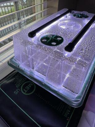 Seed Starter Kit with Grow Lights & Heat Mat – 40-Cell Seed Starter Tray, Humidity Dome, Soil Moisture Meter & Sticky Gnat Traps – Indoor Greenhouse & Plant Propagation Station customer photo 2