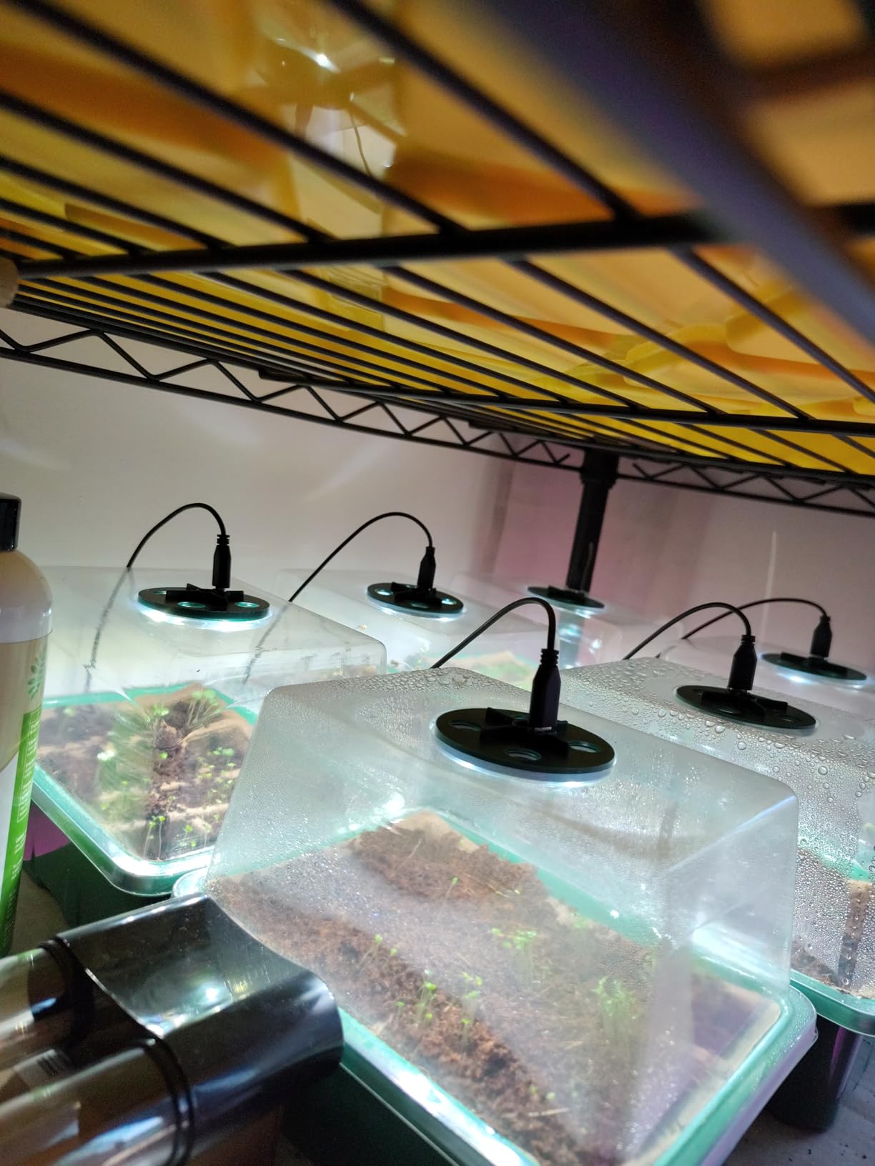 Seed Starter Trays with Grow Lights, 72 Cells Seed Starter Kit with Lights, 3 Lighting Mode, 4 Timing Set, Germination Kit for Seed Starting Trays, Seedling Starter with High Humidity Control Domes customer photo 1