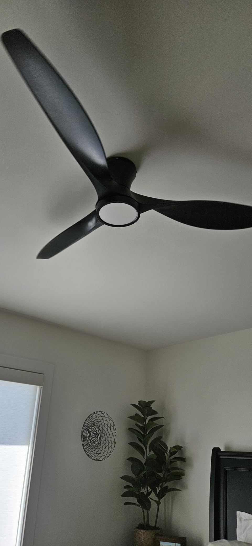 TALOYA 52 Inch Ceiling Fans with Led Lights Remote Control Flush Mount Low Profile for Bedroom Farmhouse Patio Outdoor Living Room Kitchen Dining Room,DC Motor,Reversible,Buzzer ON/Off,Black Walnut customer photo 1
