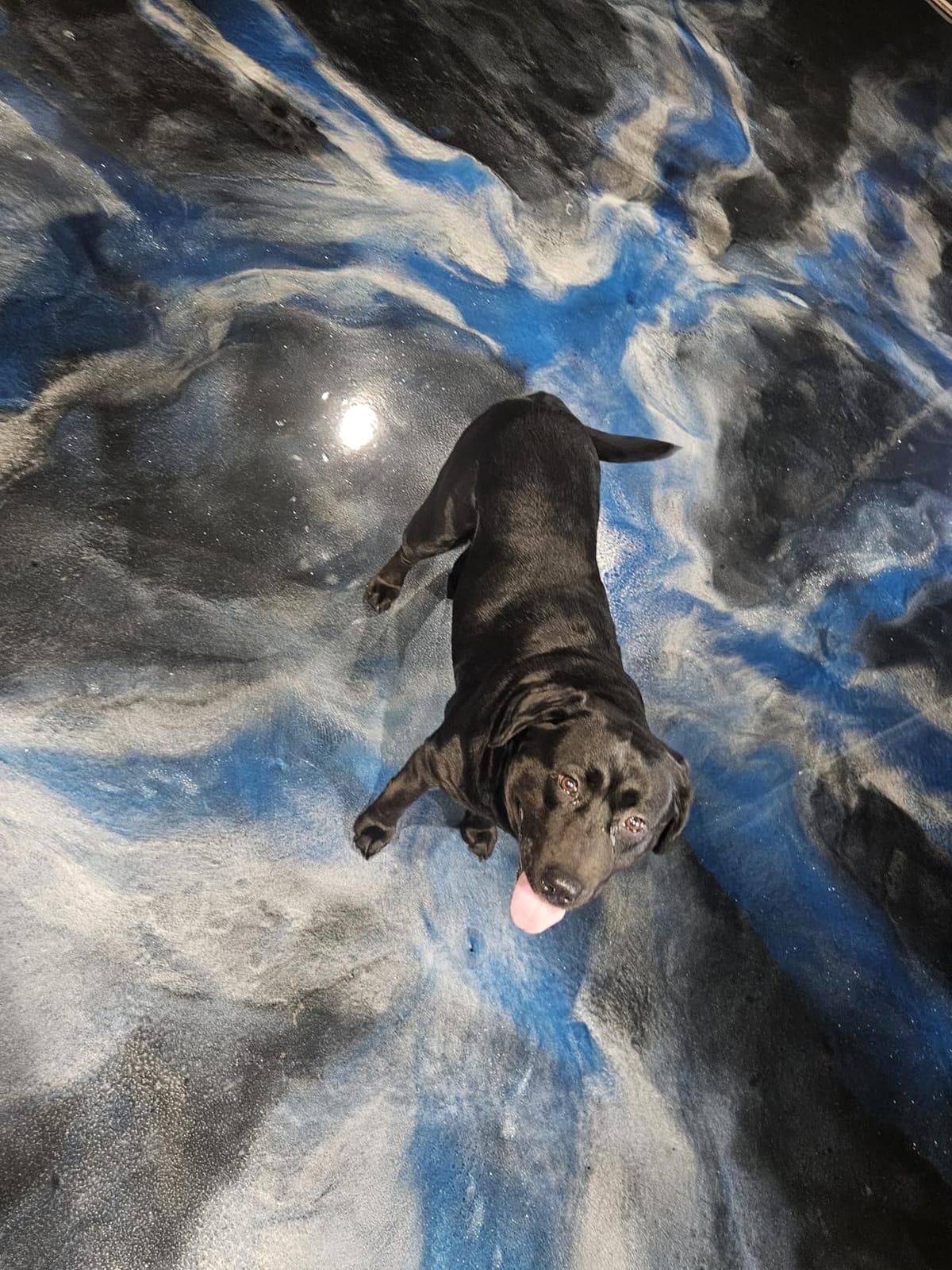 Self Leveling Epoxy Resin Kit – ANE Garage Floor Epoxy Kit Spreads Seamlessly. Durable, Industrial Grade Clear Epoxy Resin for Concrete Floors and Countertops - Clear customer photo 2