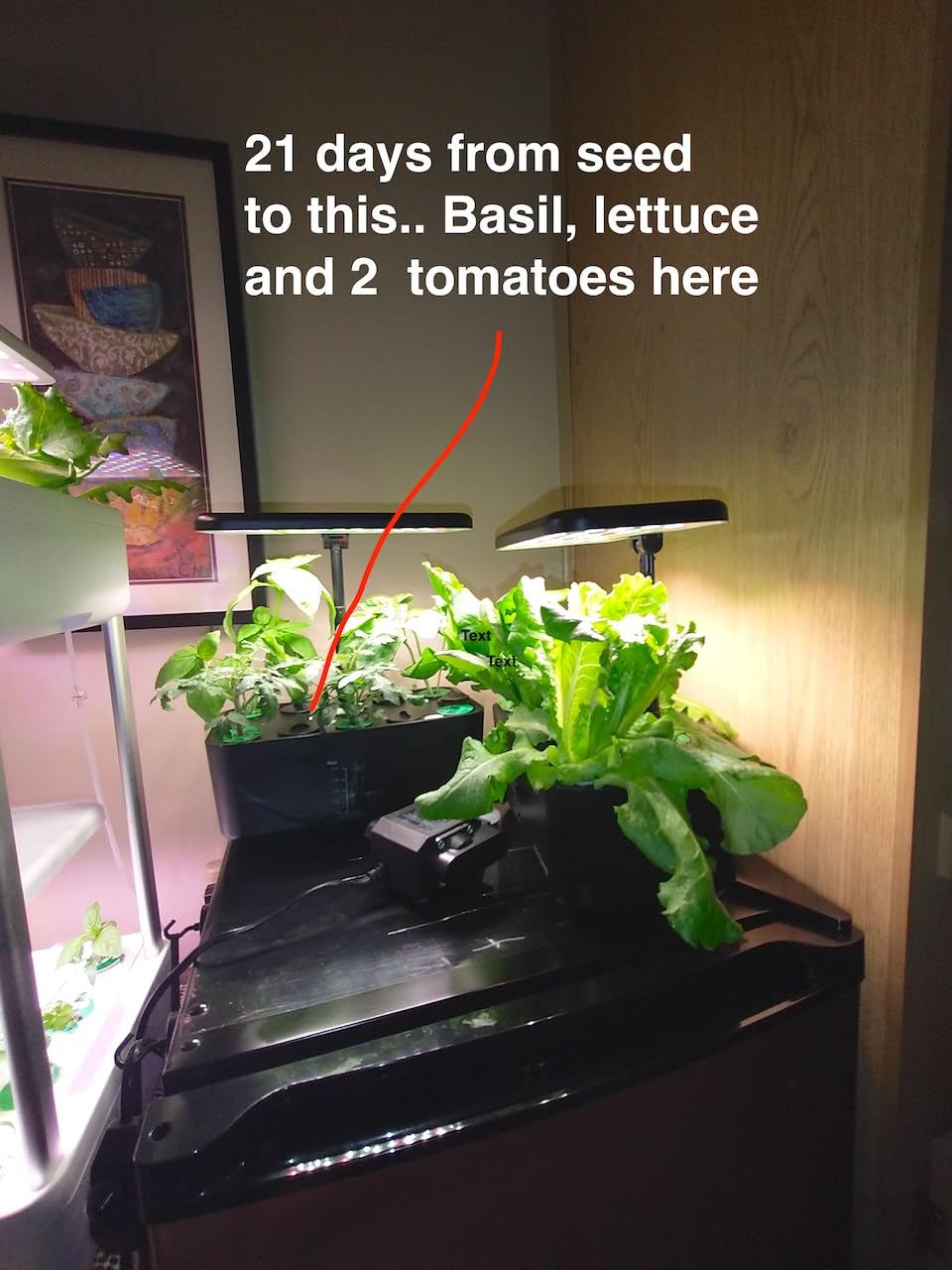 Ahopegarden Hydroponics Growing System Indoor Garden, 44 Pods Plant Herb Garden Germination Kit with LED Grow Light, 20L Double-Layer Large Capacity Hydrophonic Planter Grower for Vegetable Fruit customer photo 1