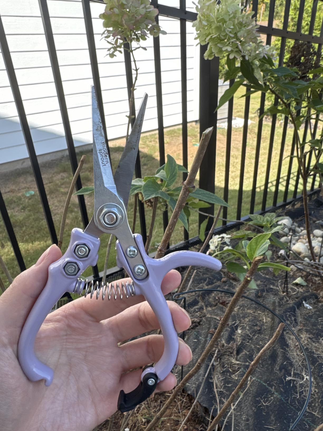 Modern Sprout Pruning Shears - Garden Snips - Herb Scissors - Sage 1-Pack customer photo 2