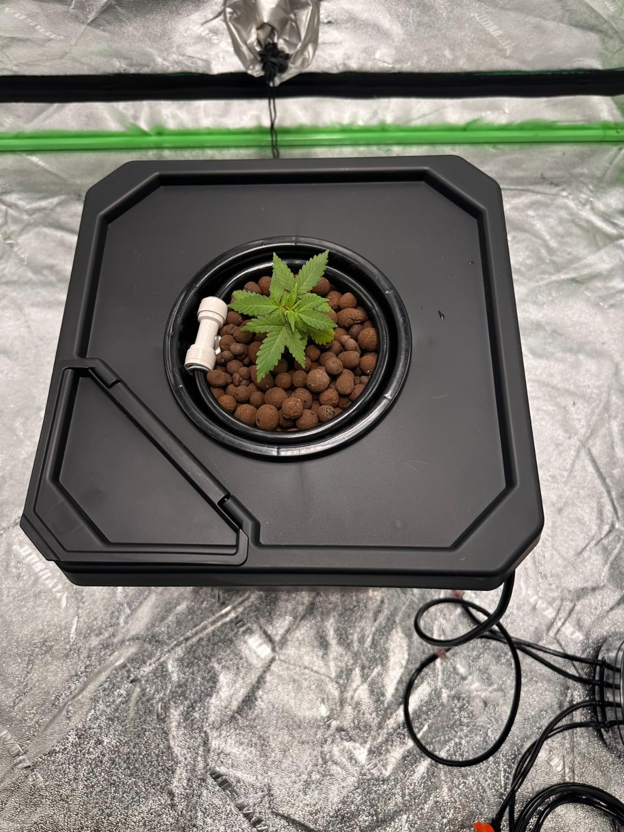 Spider Farmer DWC Hydroponics Growing System Kit 4 Buckets for Indoor Plant customer photo 1
