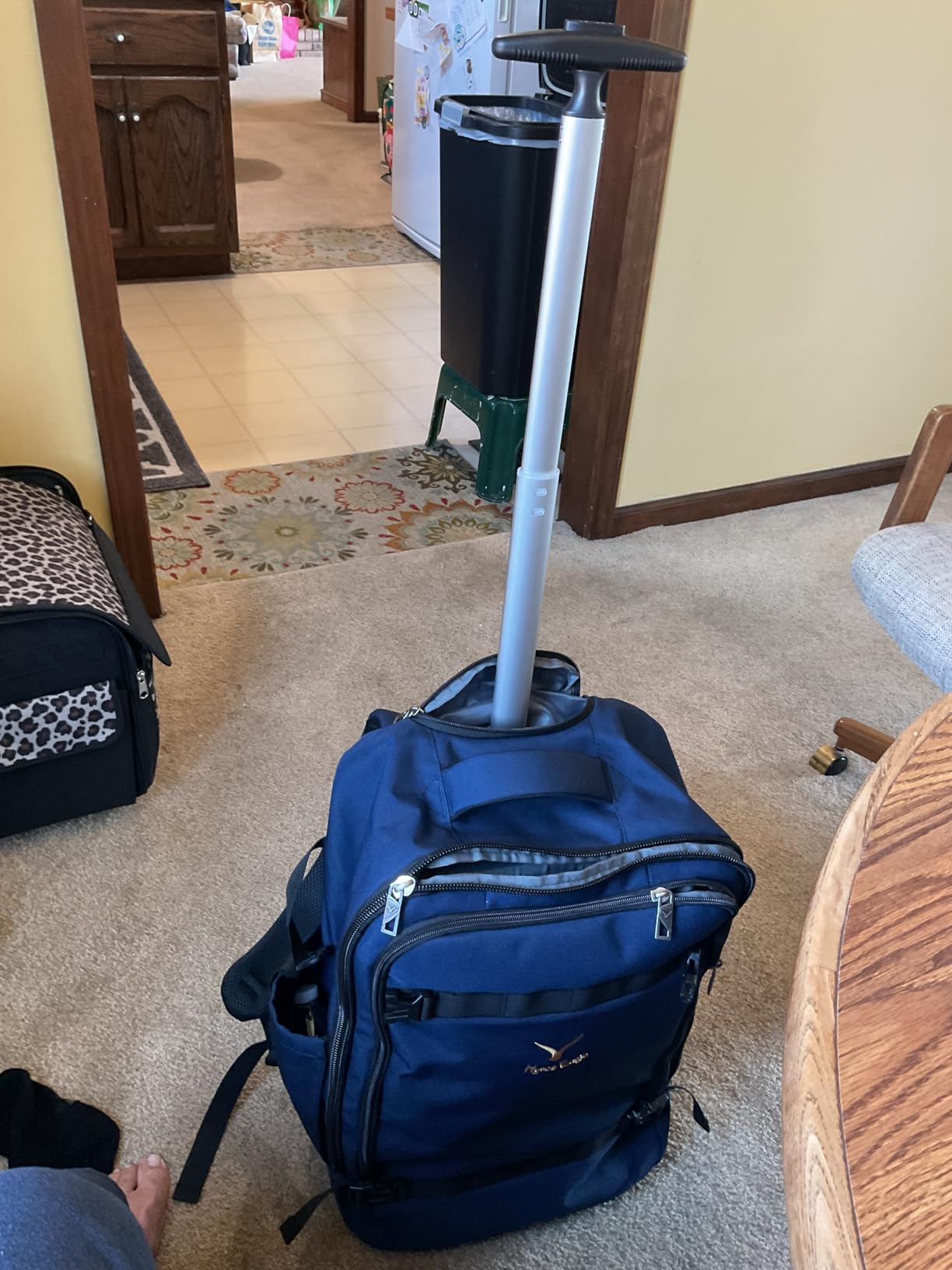 Hynes Eagle Rolling Backpack 42L Backpack with Wheels Airline Approved Carry on Luggage Laptop Travel Suitcase Bag for Women Men Mint Green customer photo 1