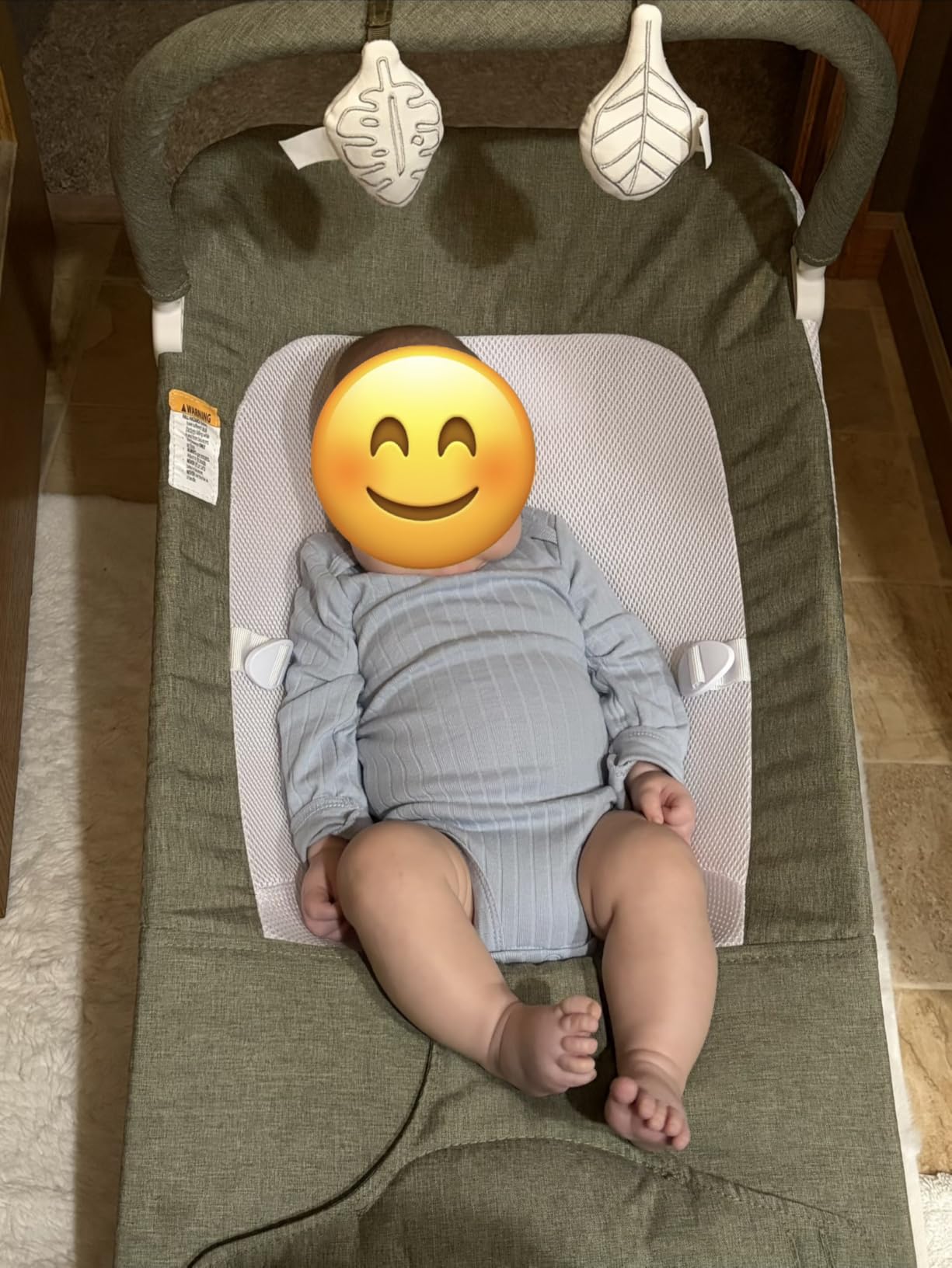 Baby Delight Highland Baby Bouncer, Sage Tweed customer photo 1
