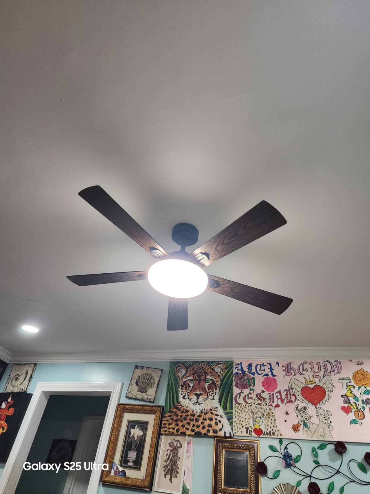 Passky 52 Inch Black Sleek Ceiling Fans with Lights, Remote Control customer photo 1