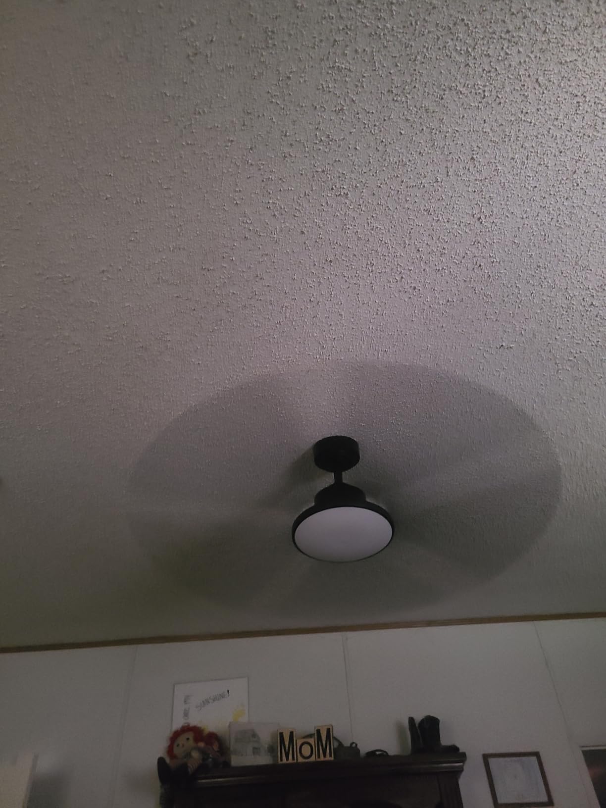 Passky 52 Inch Black Sleek Ceiling Fans with Lights, Remote Control customer photo 2