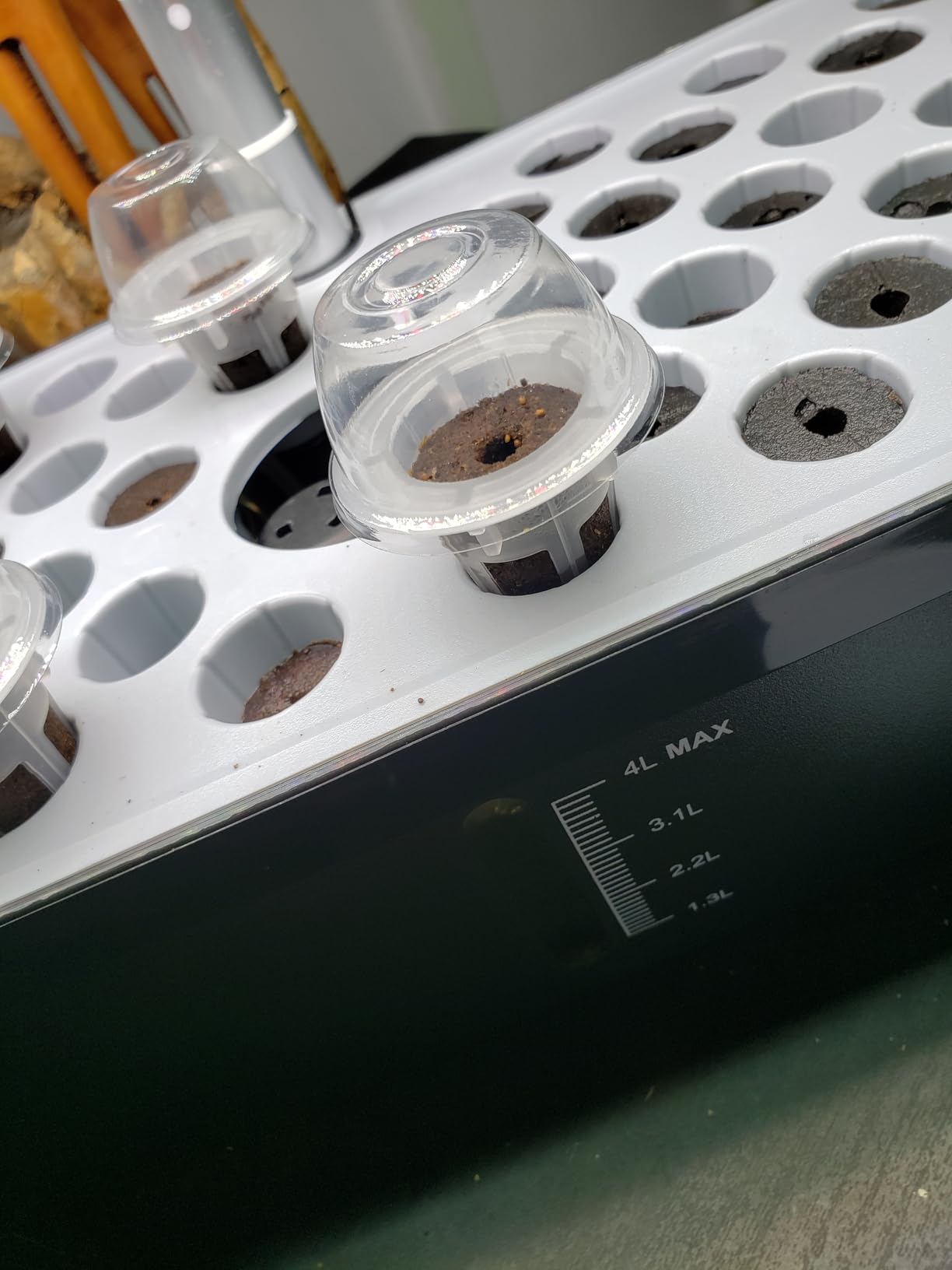 52 Pods Smart Hydroponics Growing System Indoor Herb Garden with Auto Timer customer photo 2