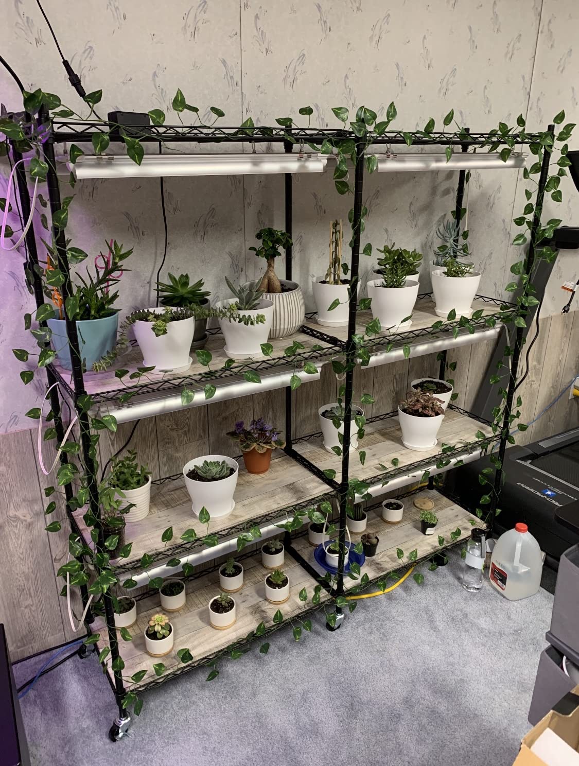 Bstrip 5-Tier Large Plant Shelf with Grow Light, 58x13.8x59in customer photo 1