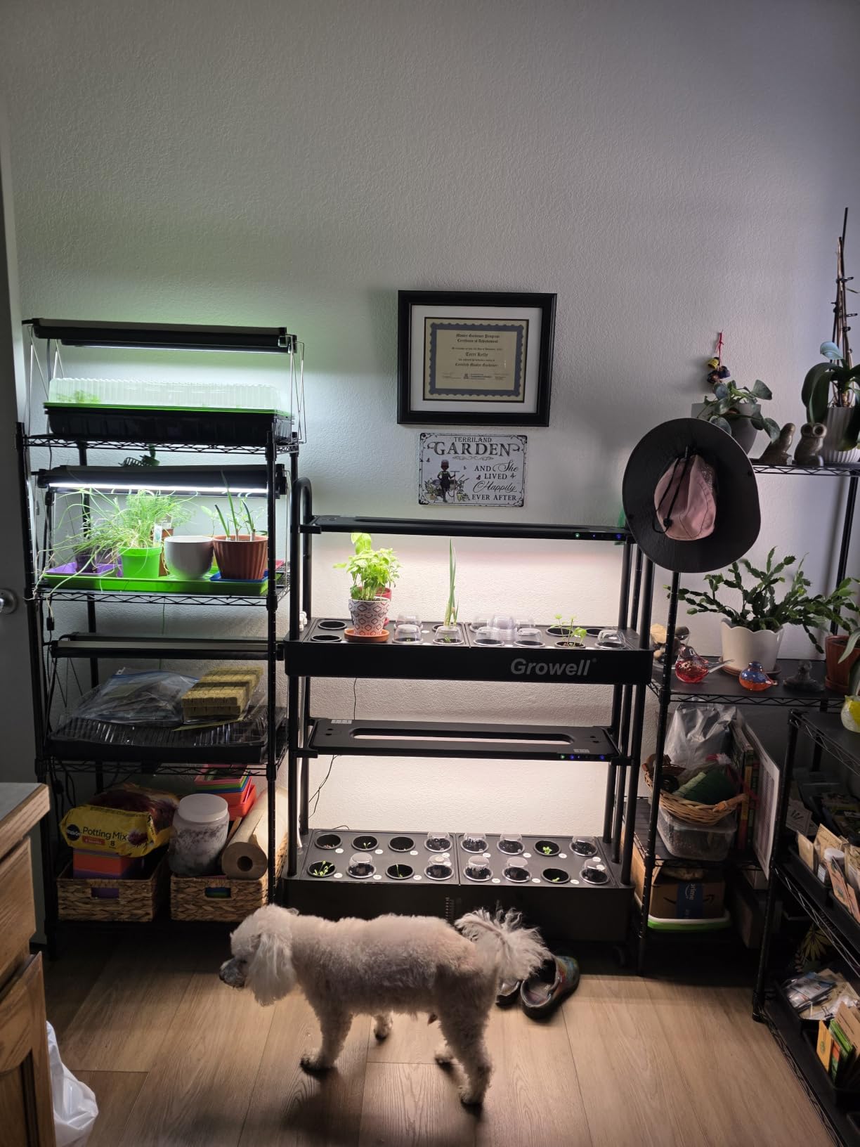 Growell Large Basket Hydroponics Growing System Kit, 32 Pods Vertical Hydroponic Garden with 2 Grow Light Modes, Auto Circulating Water System, 32L Indoor Gardening System for Herb Vegetable Fruit customer photo 1