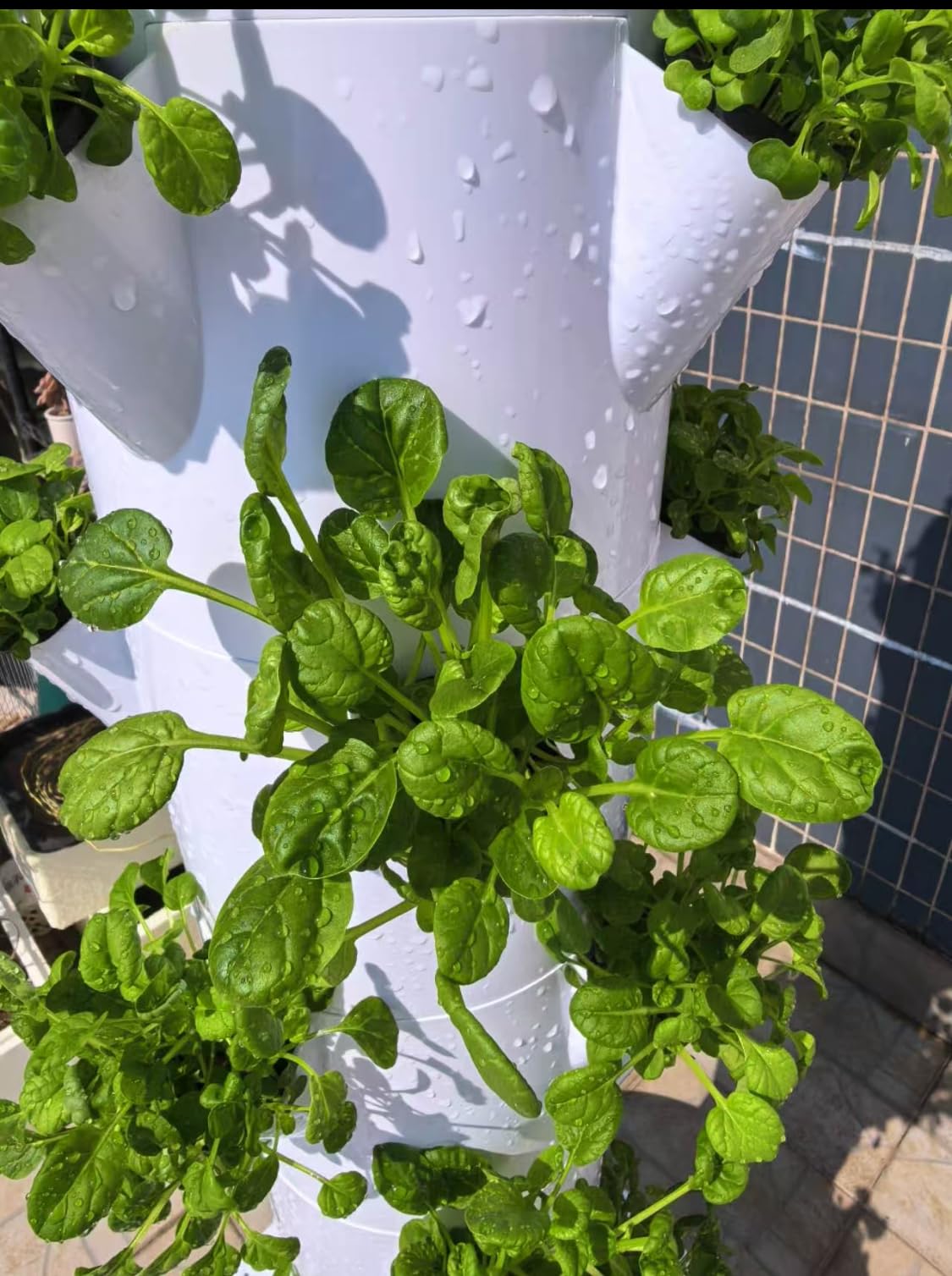 Hydroponic Growing System, Vertical Garden Tower Automatic Timer 36 -Pod customer photo 2
