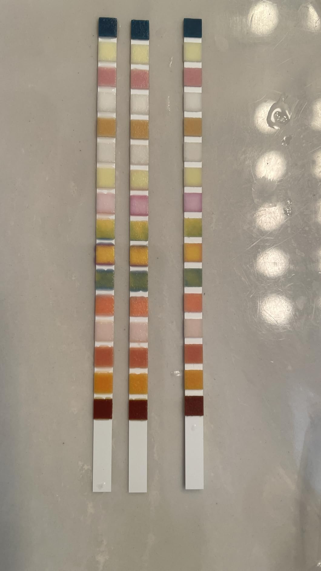 23 in 1 Water Test Kit for Drinking Water 158 Strips, Upgraded Home Water Testing Strips for Well & Tap Water, Detects Hardness, Chlorine, pH, Lead, Iron, Copper & More customer photo 1