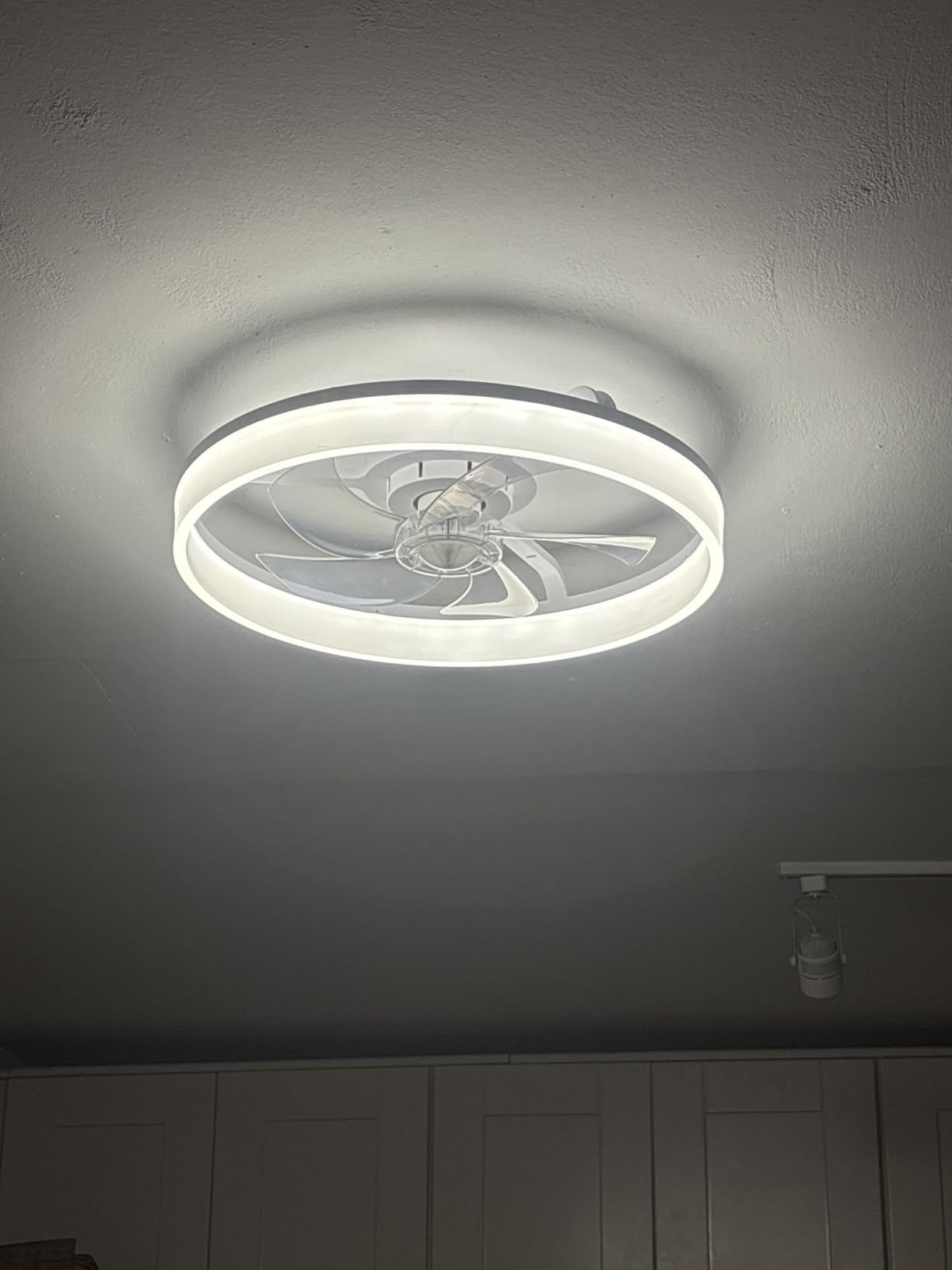 DLLT Low Profile Ceiling Fan: 20