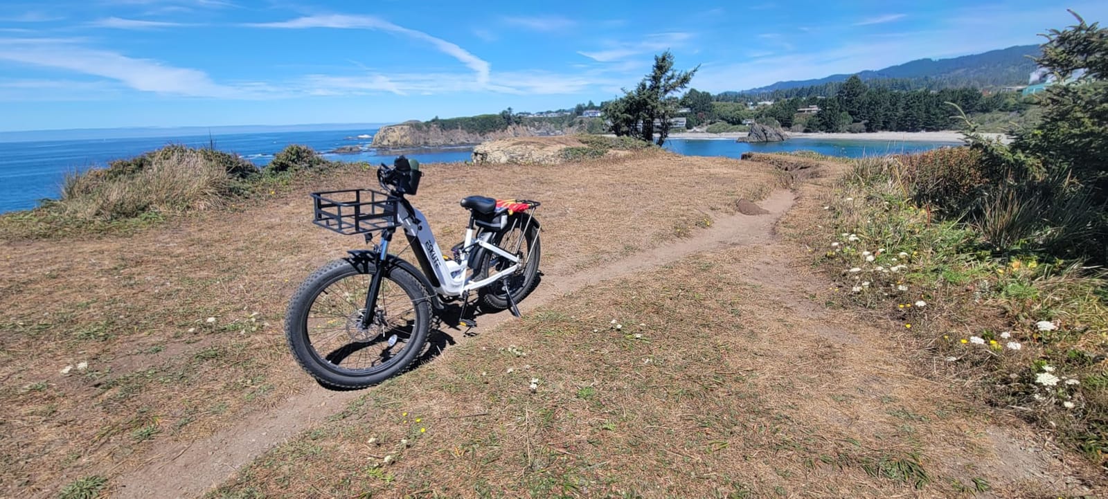 ESKUTE Electric Bike for Adults - 48V20.8Ah 86 Miles Battery Commuter, 32+MPH, Peak 1800W Brushless Motor, 26x4.0 Fat Tire Step-Thru Cityrun Ebike, 8-Speed, Full Suspensions E-Bike customer photo 1